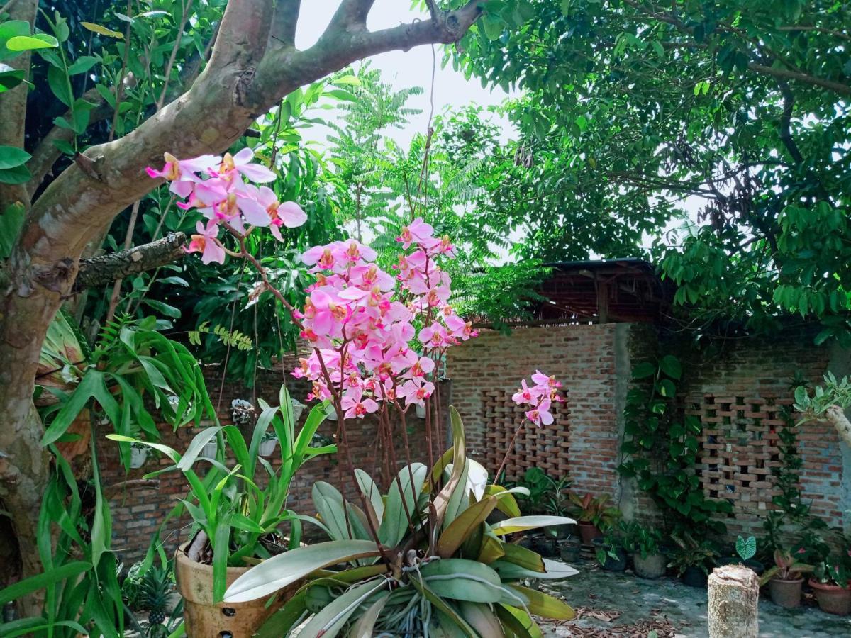 Bua Guest House Medan Ngoại thất bức ảnh