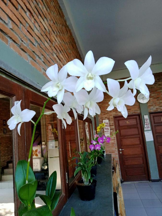 Bua Guest House Medan Ngoại thất bức ảnh