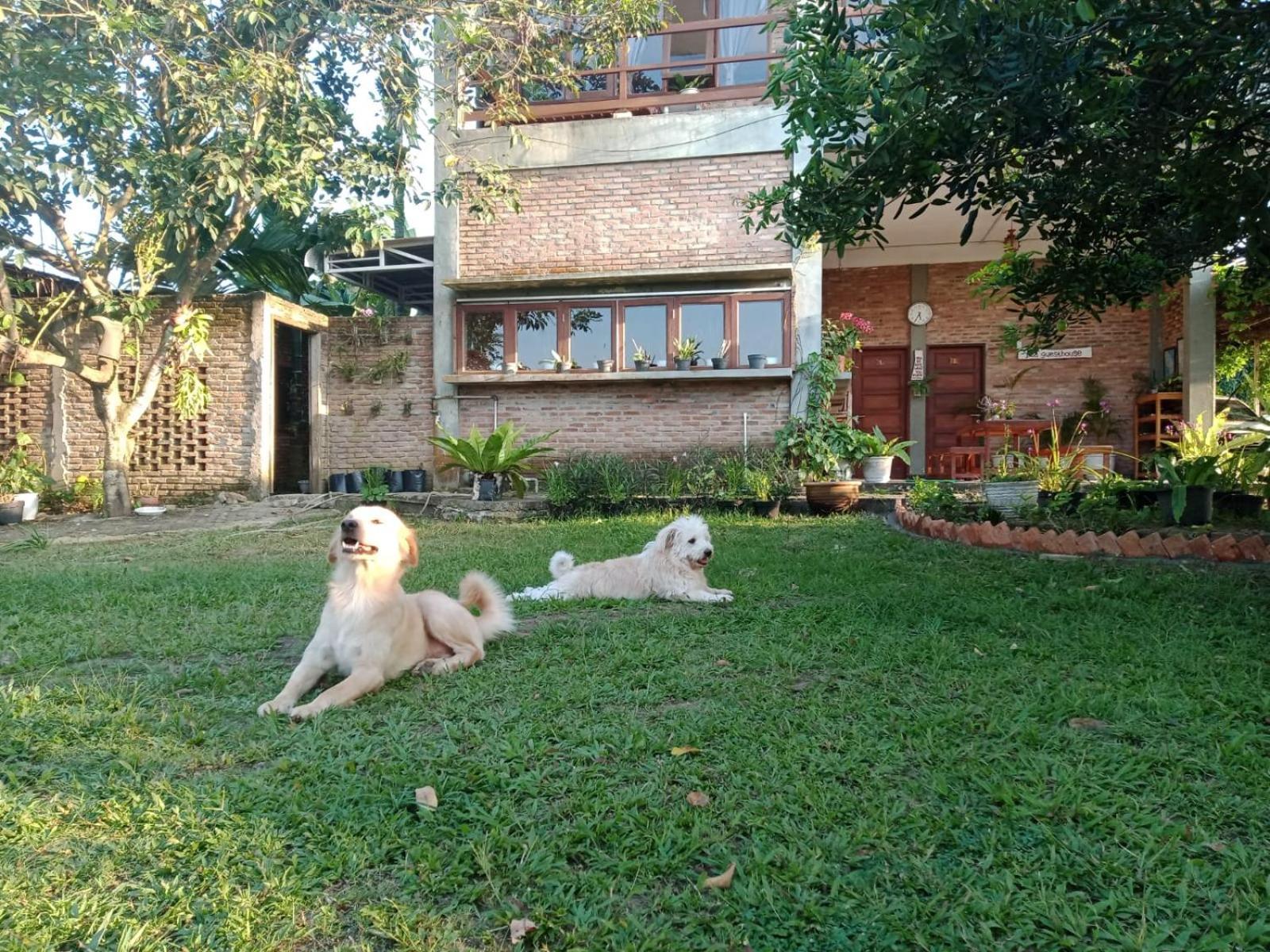 Bua Guest House Medan Ngoại thất bức ảnh