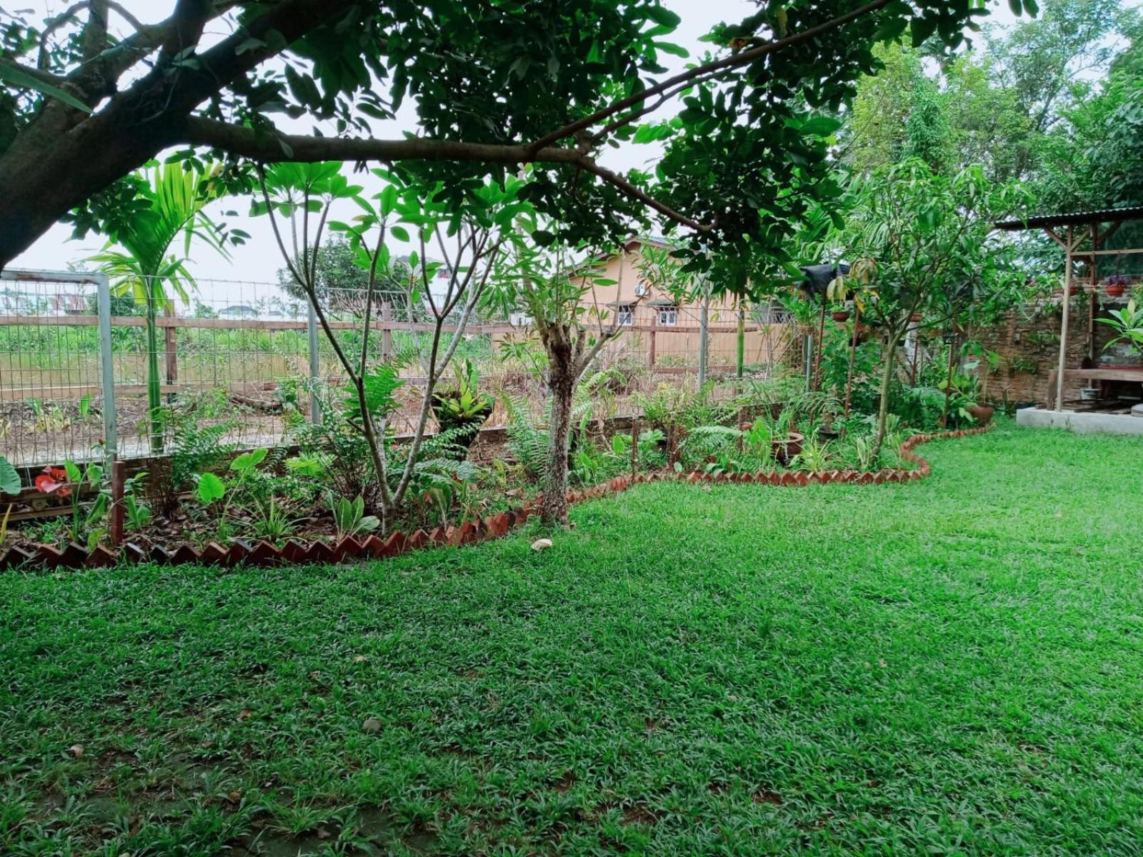 Bua Guest House Medan Ngoại thất bức ảnh